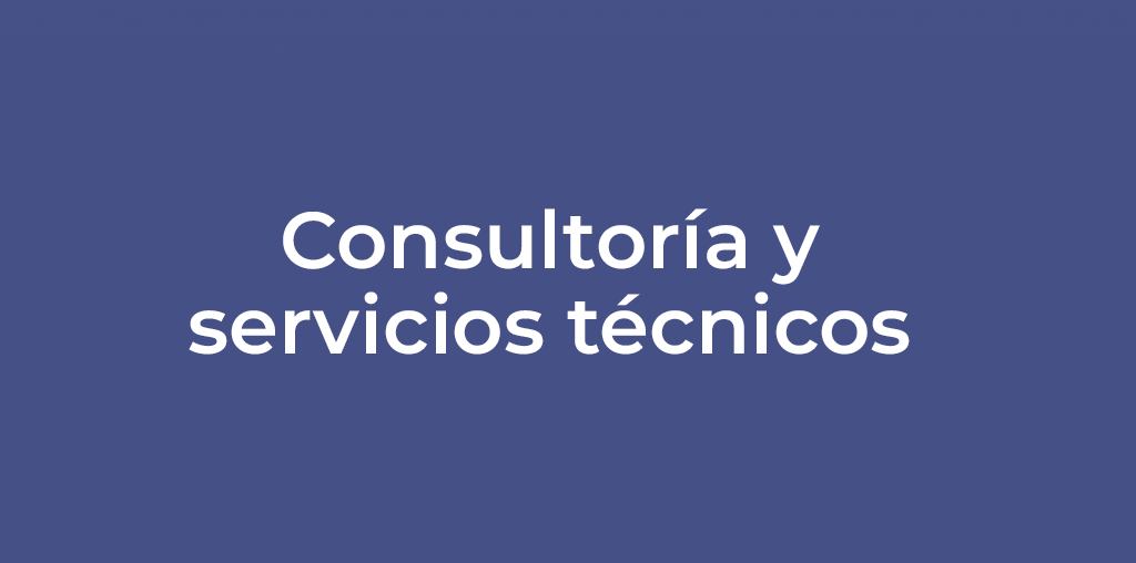 Consultoría y servicios técnicos
