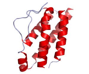 interleucina 2